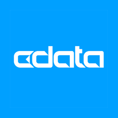 netsuite-mcp-server-by-cdata